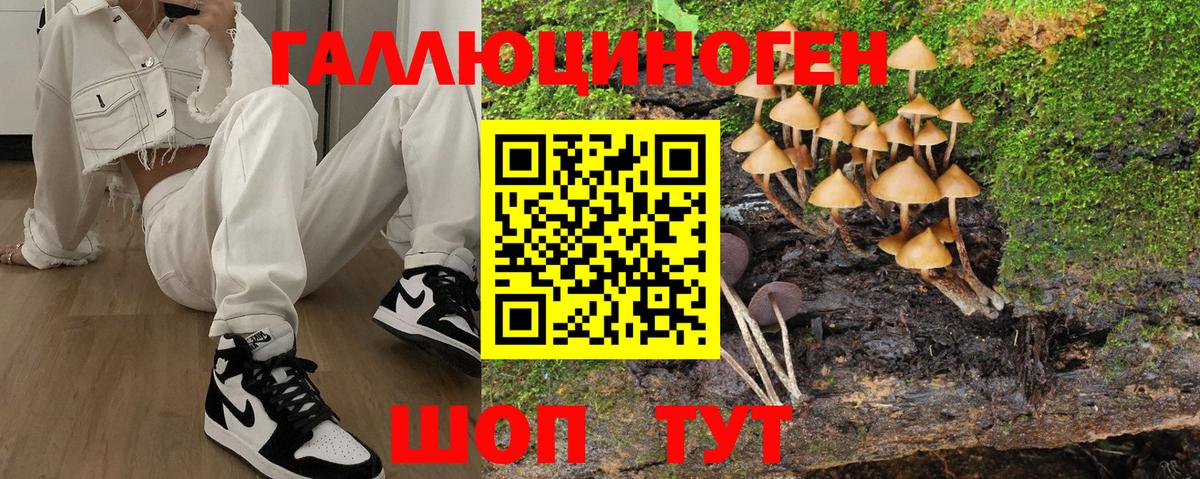 Югорск  Галлюциногенные грибы ЛСД  Вход с VPN 